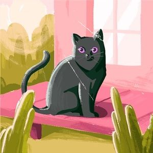 Meet your Posher, Ashleigh